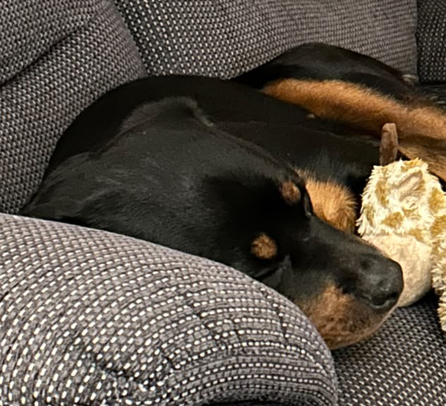 Nala